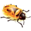 פיירבאג - Firebug for FireFox