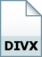 קובץ DivX-Encoded Movie