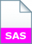 קובץ של תוכנת SAS