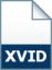 קובץ Xvid-Encoded Video